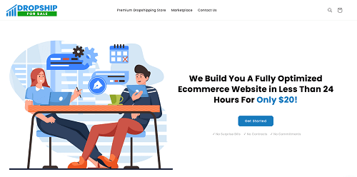 buying a prebuilt shopify store