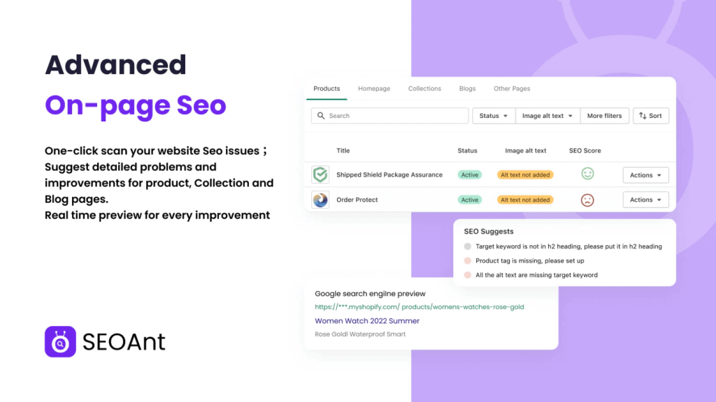 dropshipping seoant