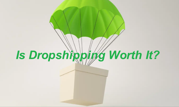 dropshipping worth