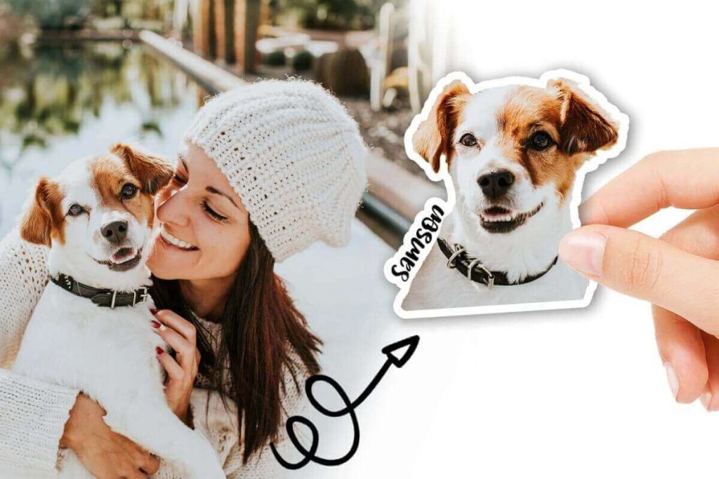 pet photo stickers