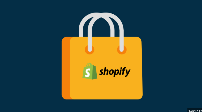 fake shopify dropshipping