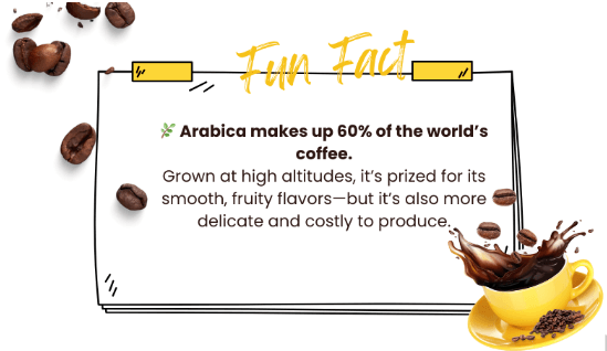arabica coffee